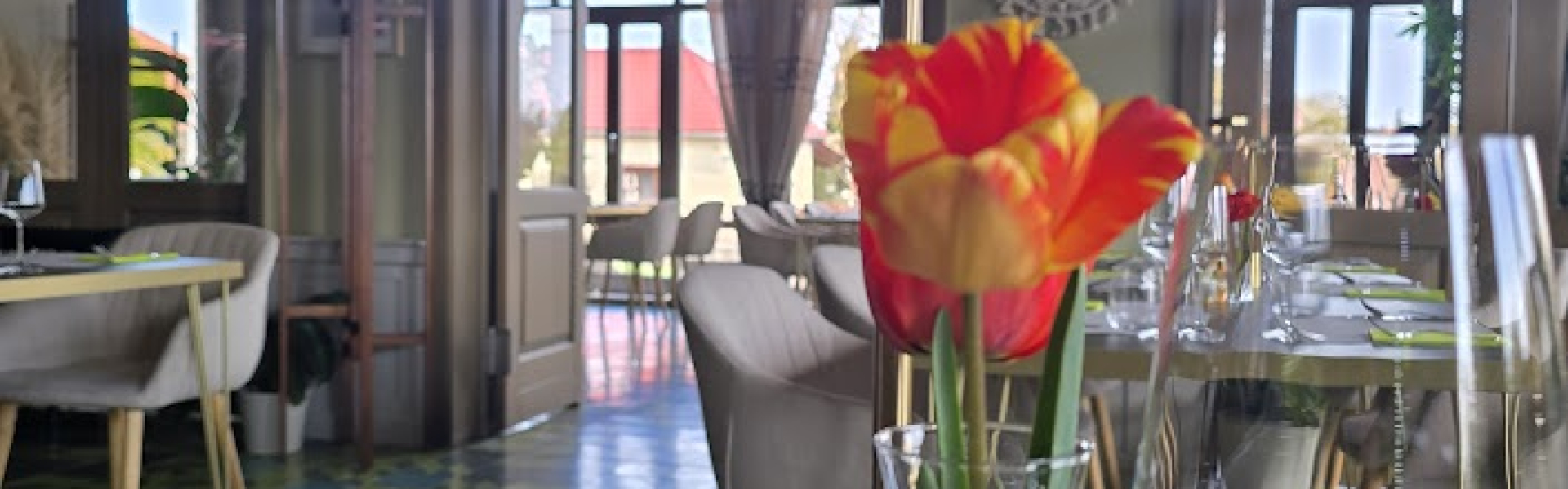 TULIPÁNVIRÁGZÁS Gasztrotavasz a Tisza-tónál