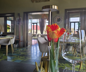 TULIPÁNVIRÁGZÁS Gasztrotavasz a Tisza-tónál