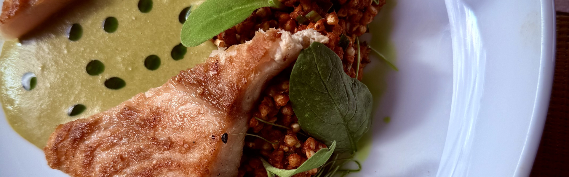 Kapj rá! Szürkeharcsa a Sulyomban – SVÉT szemlélet a Tisza-tónál