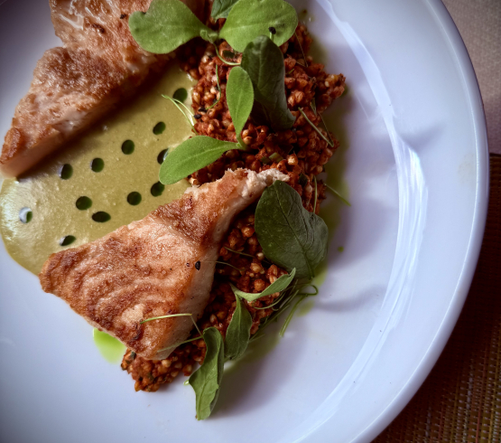 Kapj rá! Szürkeharcsa a Sulyomban – SVÉT szemlélet a Tisza-tónál