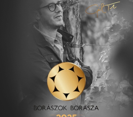 Sulyom zártkörű születésnapi díszvacsora Gál Tiborral 